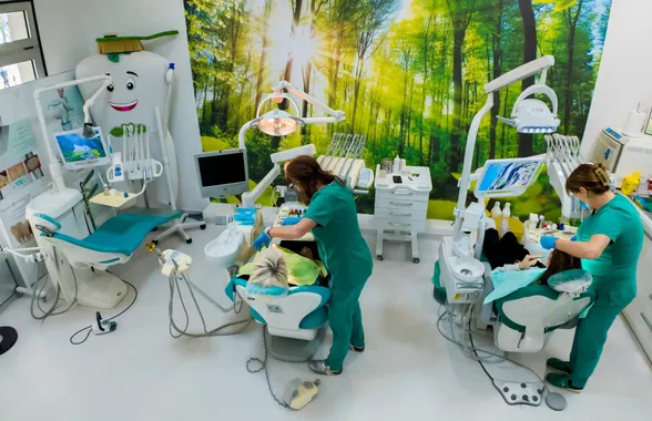 Ordinacija odozgo: dve doktorke rade na dve stolice, uz zid sa šumom i maskotu zuba